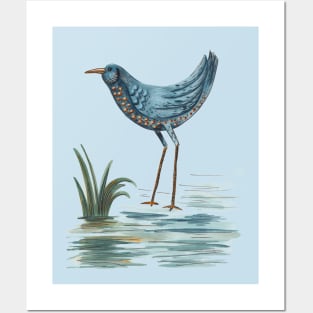 Water Bird Posters and Art